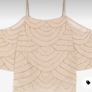 Walter Baker Beaded Top In DUSTY ROSE NWT